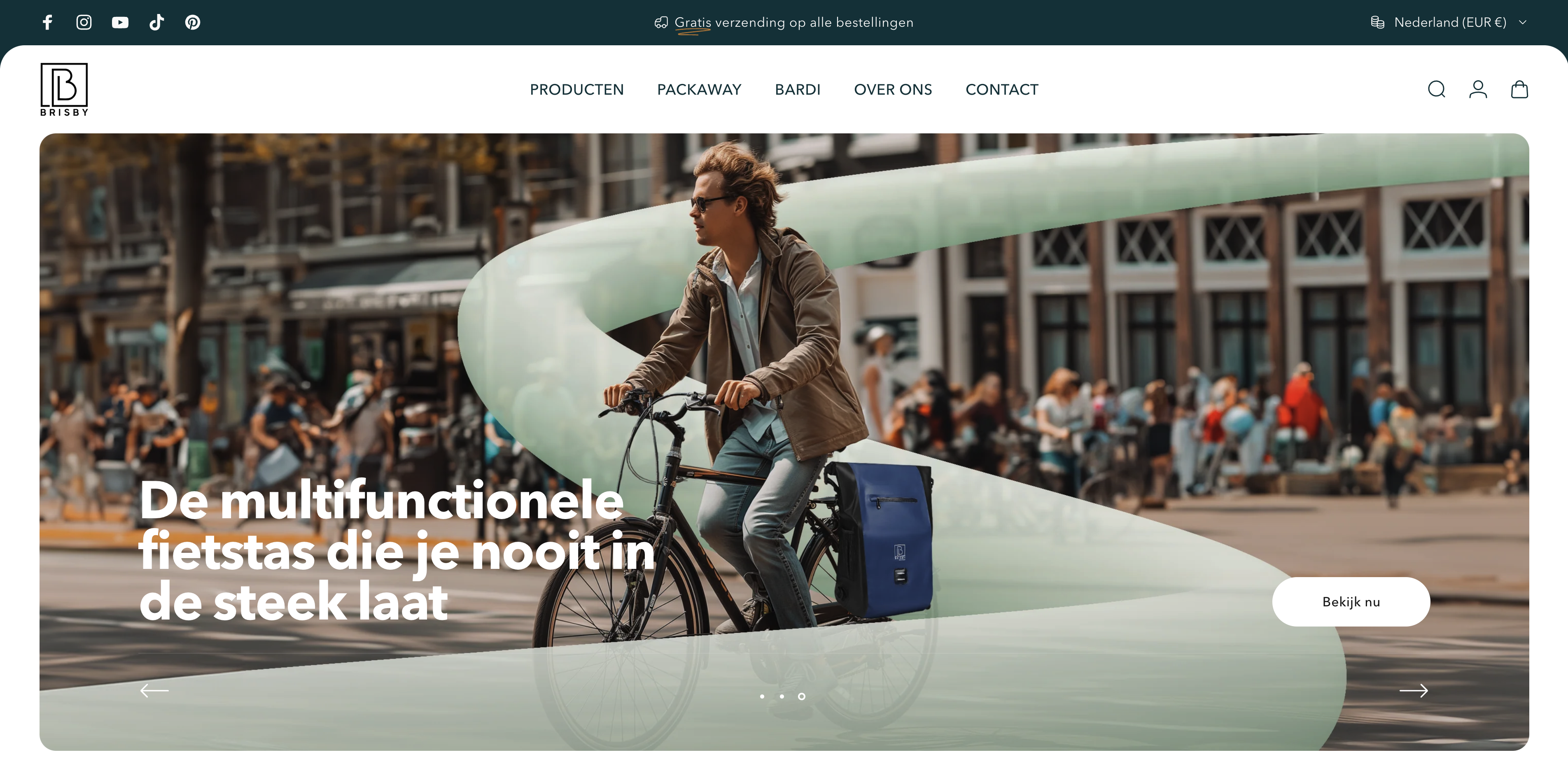 Website design Brisby